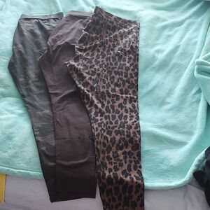 Style & Co. Knit Leggings